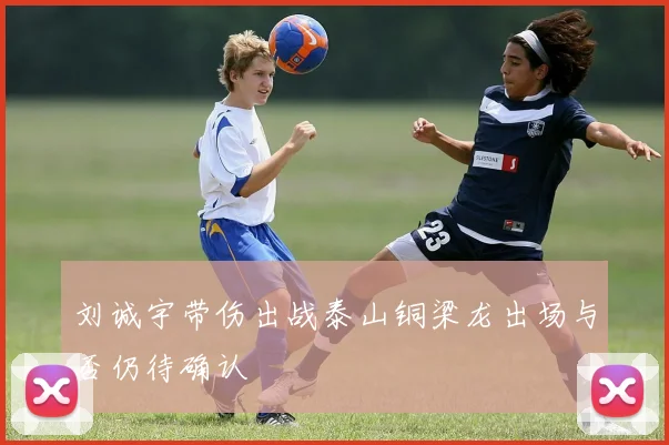 刘诚宇带伤出战泰山铜梁龙出场与否仍待确认